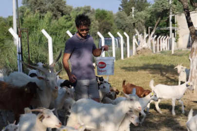 İki üniversite mezunu, yaptığı işi duyan şaşırıyor