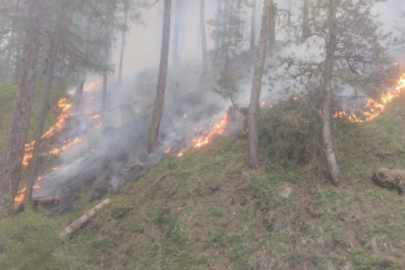 Afyonkarahisar'da Orman Yangını