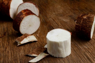 Her yıl çok sayıda kişinin canını alıyor! Dünyanın en ölümcül yiyeceği...