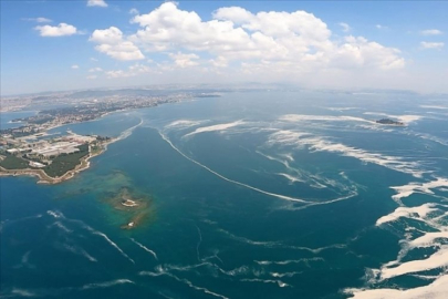 Ekim ayında başladı, Bursa'ya kadar yayıldı!