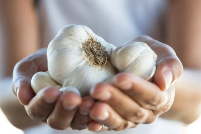 Sarımsak yemenin faydaları nelerdir?