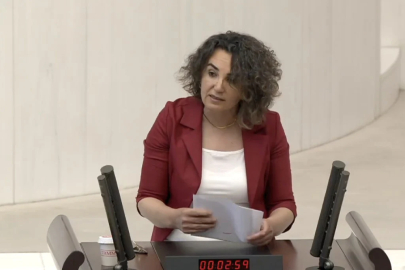 DEM Partili Çiçek Otlu: Trans kadınların hormon ilaçları ücretsiz olsun