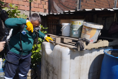 Sinekle mücadele tüm hızıyla sürüyor