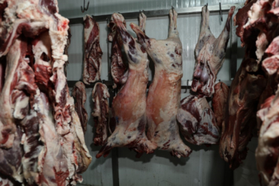 Bu habere bakmadan et almayın: Domuz, at ve eşek eti dana etinden nasıl ayrılır?