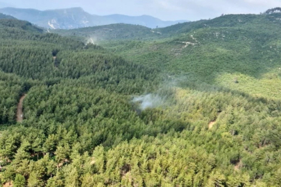 Osmaniye'de ormanlara giriş 5 ay yasaklandı