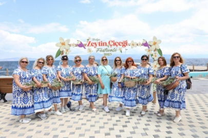Trilye'de Zeytin Çiceği Festivali başladı!