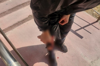 Bursa'da Kurban Bayramı'nda korkutan olay!