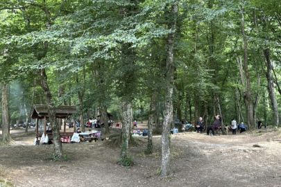 İstanbullular bayramın 2'nci gününde Belgrad Ormanı'na akın etti