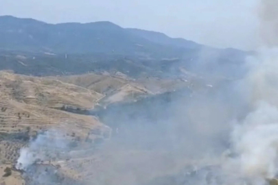 İzmir Seferihisar'da orman yangını