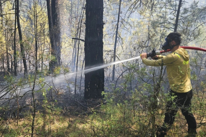 Bolu'da örtü yangını