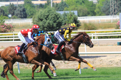 Bursa hipodroma koştu!