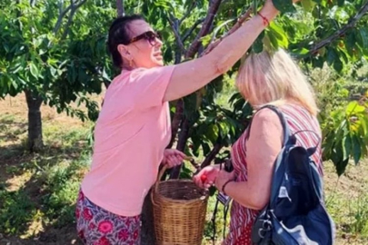 Ünlü oyuncu şalvar giyip kiraz topladı