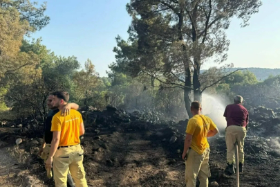 İzmir'de mangal yaparken ormanı yakan şahıs tutuklandı