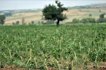 Bursa'ya çok önemli uyarı!