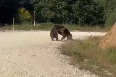 Bursa'da 'bu gerçek mi?' dedirten görüntü! Güreşirken uçurumdan düştüler