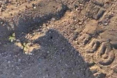 Kene resmen bir vatandaşı kovaladı!