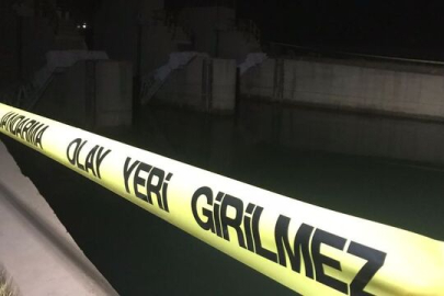 Mardin'de sulama kanalına giren Suriye uyruklu kişi kayboldu