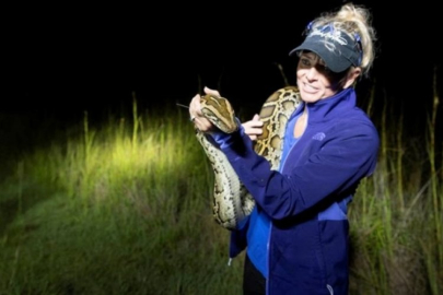 Piton istilası! Otobüs dolusu yılan öldürüldü