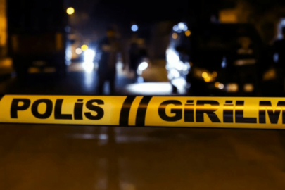 Koyunlar tarlaya girdi, kan döküldü!