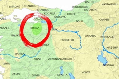 Bursa'da sayıları giderek arttı! Şehrin her yerindeler...