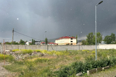 Ağrı'da dolu yağışı etkili oldu