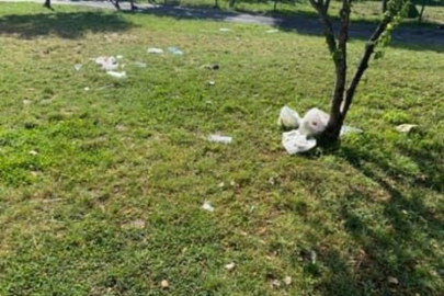 Bursa'da çöplüğe dönen park! Mahalleli isyanda