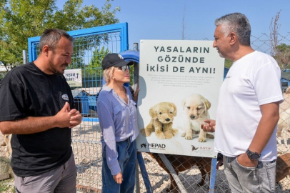 Süperstar Ajda'dan Bursa'da barınak ziyareti