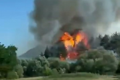 Bursa'daki orman yangını kontrol altına alındı