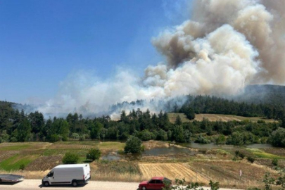 Orhaneli yangınında o konuya dikkat çekti... Selçuk Türkoğlu: Dağ yöresinin kaderiyle oynanmasın