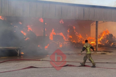 Bursa'da alev alev yandı! 500 ton kül oldu...