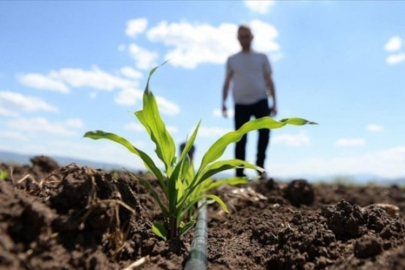 Gübre krizi geldi mi?