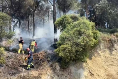 Bursa'da bir orman yangını daha!