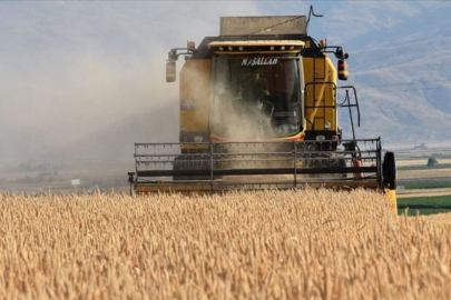 Çiftçilere 263 milyon lira tarımsal destekleme ödemesi