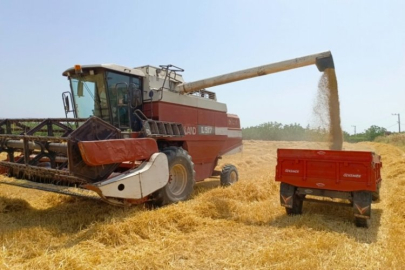 Bursa'da hasat başladı! Dönüm başına destek...