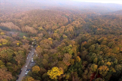 İstanbul'da ormanlık alanlara girişler yasaklandı