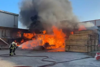 Kocaeli'de Yangın: Kereste Deposu Zarar Gördü