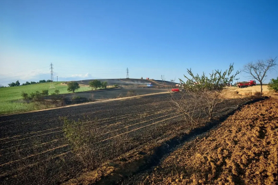 Malkara'da Yangın: 200 Dekar Buğday Alanı Yandı