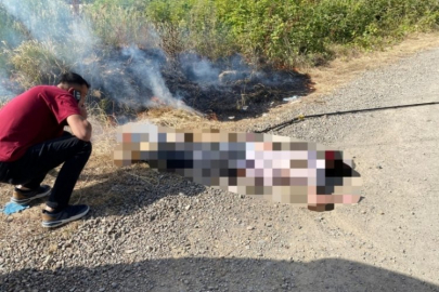 Balık tutan genç, elektrik akımına kapılarak hayatını kaybetti