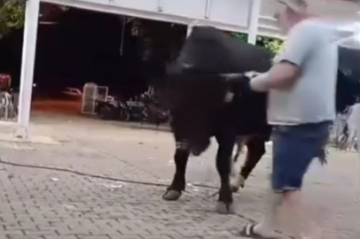 Bu tanıtım hiç iyi olmadı! Kızgın boğa acımadı...