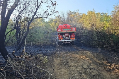 Bursa'da ormanlık alanda çıkan yangın kontrol altına alındı