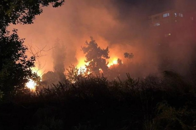 Düğünde atılan havai fişekler otluk alana düştü!