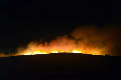 İzmir Menemen'de Orman Yangını: Ekipler Mücadele Ediyor
