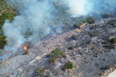 Bursa'da bir yangın daha! Geniş alan alevlere teslim oldu