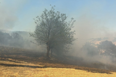 Bursa'da orman yangını! Ekipler seferber oldu