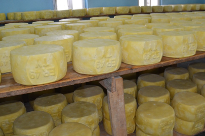 Bir yıl bekletilip 50 milyon TL'ye satılıyor: 5 kardeşe servet kazandırıyor