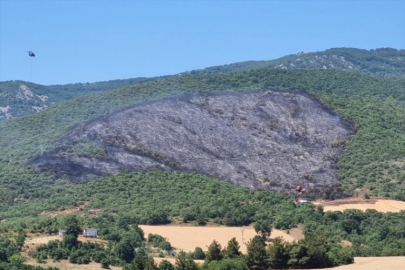 Bursa'da çıkan orman yangınına havadan karadan müdahale!