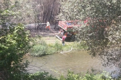 Bursa'nın o dağ ilçesinde korkutan yangın