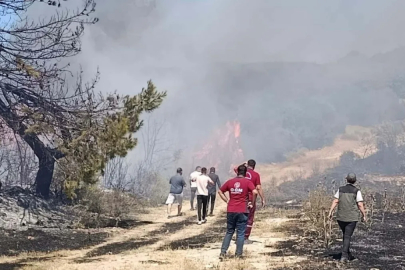 Manisa'da semaver yakarken ormanı yakan kadına ev hapsi