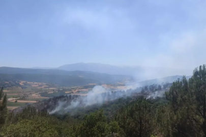 Bursa'da Orman Yangını 6 Saatte Kontrol Altına Alındı