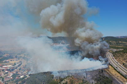Başkan Aydın İsmetiye’deki yangın bölgesinde
